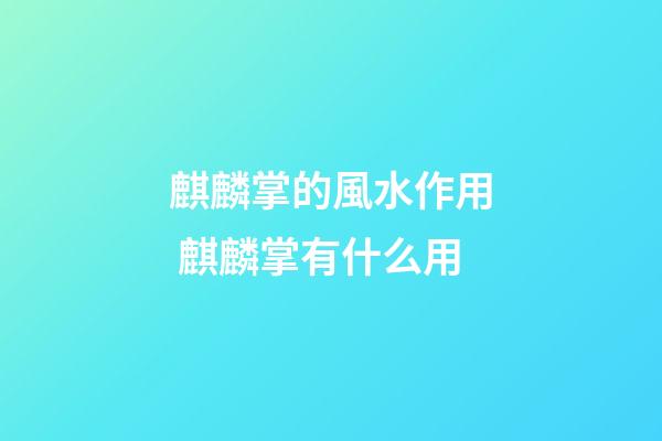 麒麟掌的風水作用 麒麟掌有什么用
